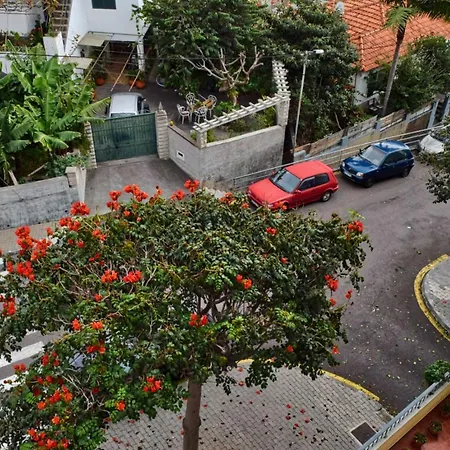 Perola, A In Madeira Apartamento Funchal (Madeira)